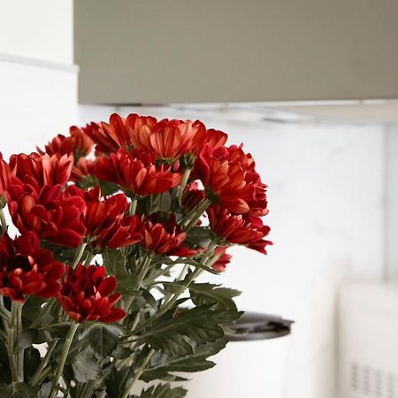 פראג Apartman Anastasie מראה חיצוני תמונה