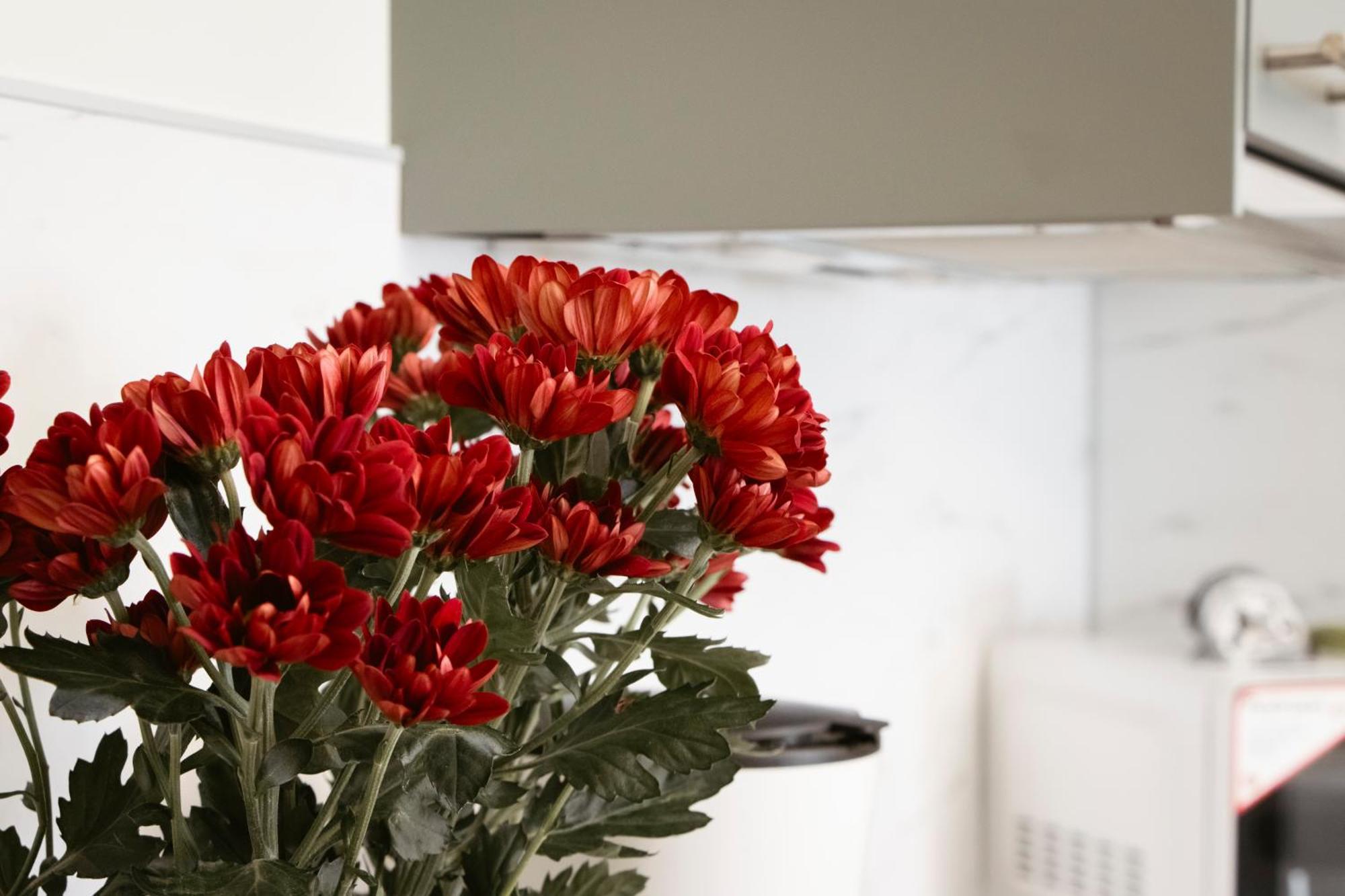 פראג Apartman Anastasie מראה חיצוני תמונה